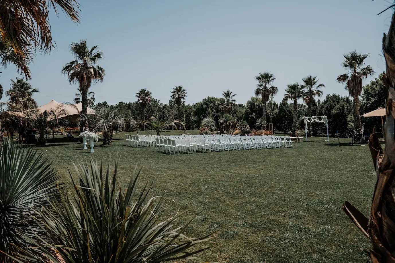 Au milieu des palmiers, des rangées de chaises blanches alignées sur une pelouse, face à l’arche de cérémonie