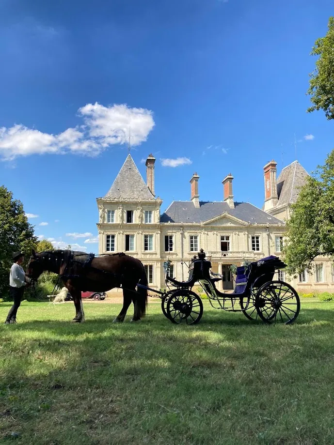 Un cheval attelé à une calèche noire, conduit par un cocher, attend sur la pelouse devant la façade d’un château sous un ciel bleu